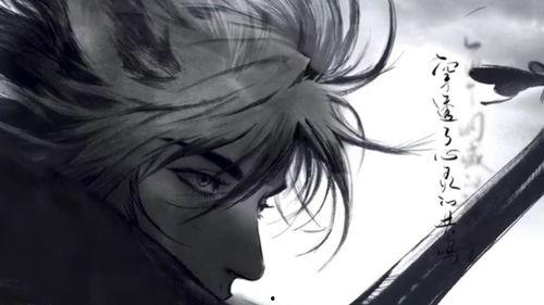 韩信典藏最新爆料视频,独家爆料背后的精彩瞬间  第3张